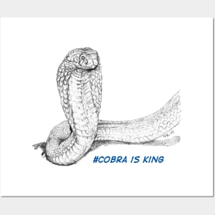 Cobra is King! Posters and Art
